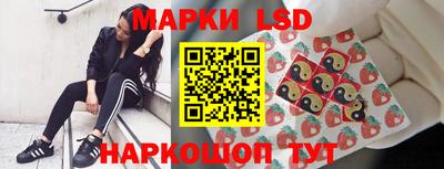 MDMA Новозыбков