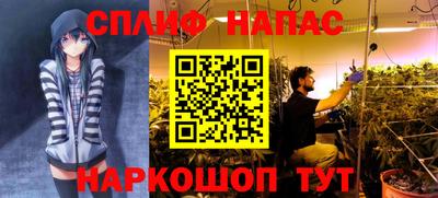 МДПВ Новокубанск
