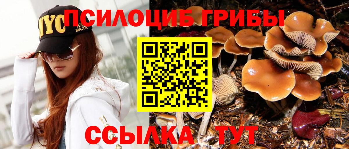 Псилоцибиновые грибы мухоморы Солнечногорск